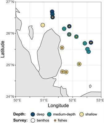 Spatial patterns of reef fishes and corals in the thermally extreme waters of Qatar